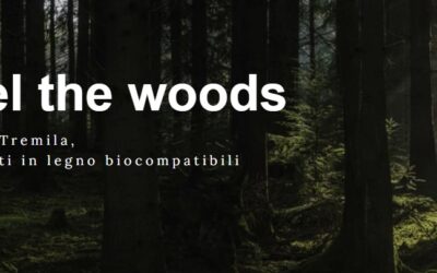 Scopri il Futuro del Design Sostenibile: Corso sulla Biocompatibilità dei Materiali con Fiemme Tremila