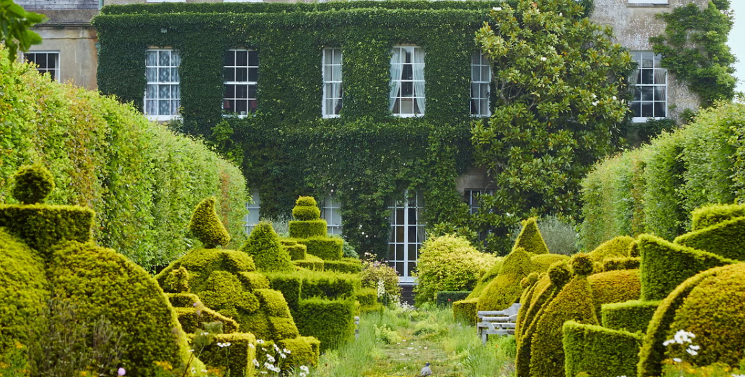 highgrove di sanderson