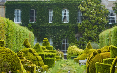 Highgrove by Sanderson: quando i giardini di Re Carlo diventano design
