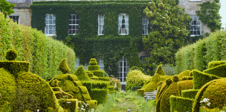 highgrove di sanderson