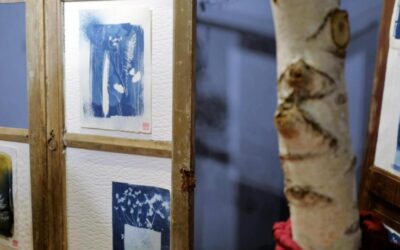 Intervista a Irene Fiestas, artista